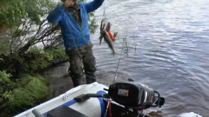 Рыбалка в Карелии, Водлозеро