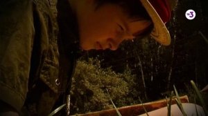 Городские легенды | Калуга. Окно в космос