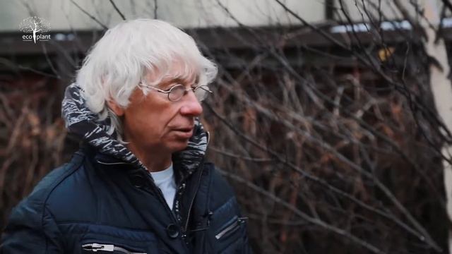 Как посадить рябину؟ С Аркадием Укупником сажаем рябину смотреть онлайн