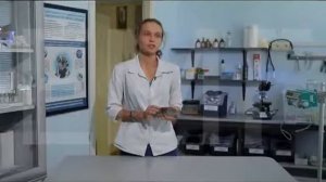 Рахит у черепах. Размягчение панциря черепахи.