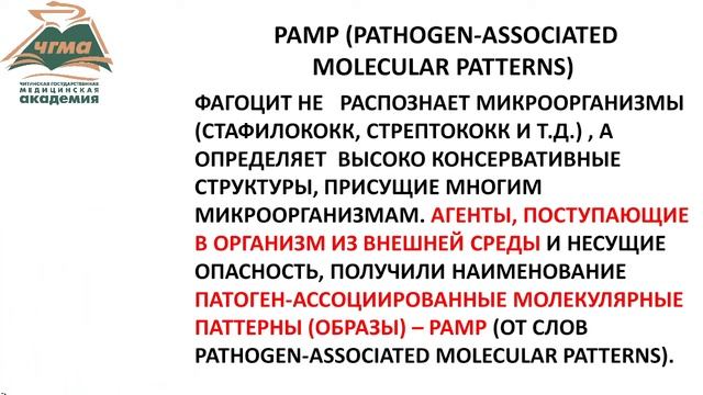 Фагоцитоз (БИК 20) смотреть онлайн