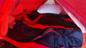 Палатка NORTHLAND TREELINE 3  из Спортмастера| обзор плюсы и минусы
