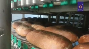 Компания Окант&К. Транспортер для охлаждения хлеба.