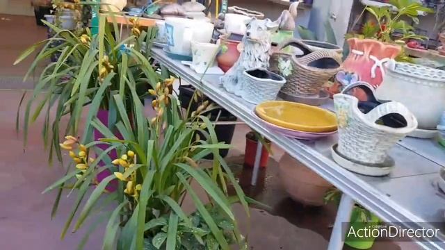 За Цветами в День Святого Василия ❤ смотреть онлайн