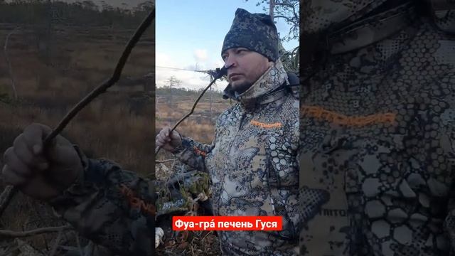 Фуа-гра́ печень добытого Гуся. Жарим на болоте на костре. #охота #фуагра #печень #рецепты