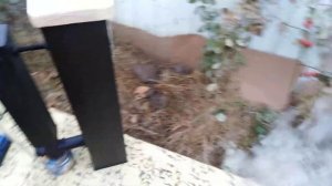 ДЫМОГЕНЕРАТОР ИЗ ПРОФТРУБЫ С ХОЛОДИЛЬНИКОМ И СБОРНИКОМ КОНДЕНСАТА