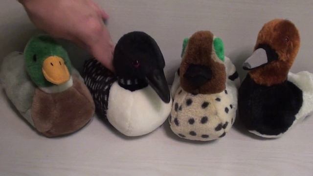 Wild Republic bird, водоплавающие птицы