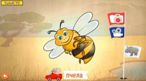 Animals Puzzle for Kids Пазл для детей - ЖИВОТНЫЕ TIERE ANIMALES ANIMAUX ANIMALI jigsaw