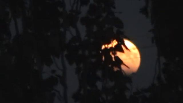 Не полное лунное затмение 7,08,17 смотреть онлайн