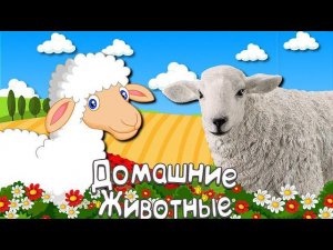 ДОМАШНИЕ ЖИВОТНЫЕ + Обучающие Развивающие Мультики Детям + Звуки и голоса Домашних Животных