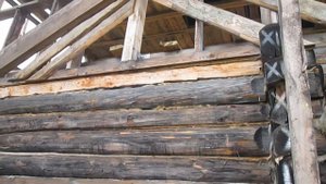 САД, ОГОРОД, СВОИМИ РУКАМИ