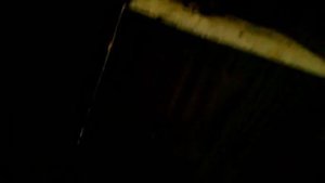 Полуподземный омшаник (зимовник).