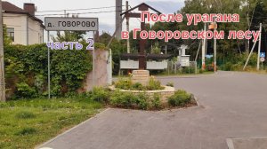 Прогулка после урагана в Говоровском лесу