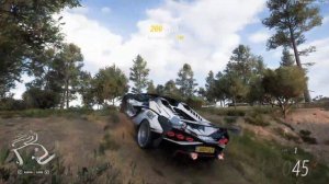 Forza Horizon 5 \ Фото дикой природы у отеля. Мирадор Балдеррама.