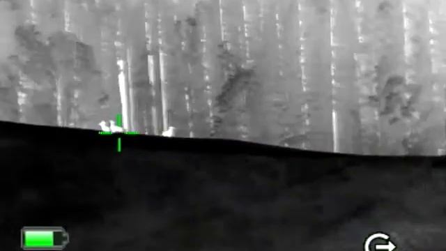 JSA nightlux IR-510X VOx Final Edition Geiß + 2 Kitz смотреть онлайн