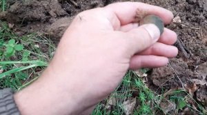 КОП У БЫВШЕЙ ЦЕРКВИ С МЕТАЛЛОИСКАТЕЛЕМ АКА СОРЕКС ПРО