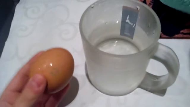 Как можно опредилить годно ли яйцо для приготавление смотреть онлайн