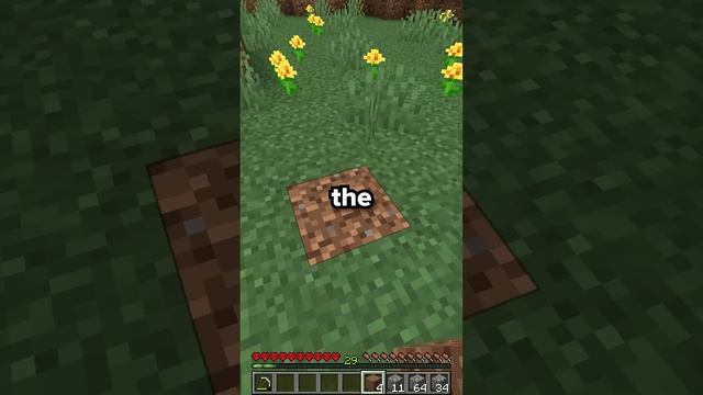 How To Get Started On DonutSMP смотреть онлайн