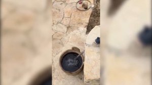 Незамерзающий гидрант (колонка, кран) для скважины, водопровода. Отзыв клиента.