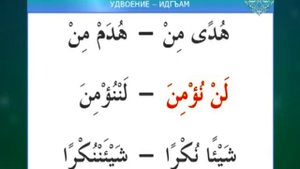 Учусь читать Коран.  Урок 21.   Правила чтения нун сукуна и танвина