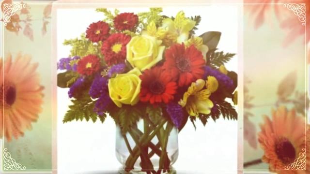 С днем рождения 25 поздравления смотреть онлайн