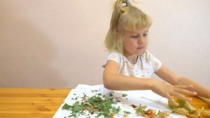 Аппликация из листьев "Осеннее дерево". Как сделать легкую поделку на тему осень в садик.