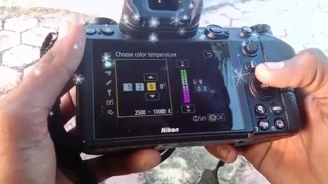 Nikon z6 mirrorless camera смотреть онлайн