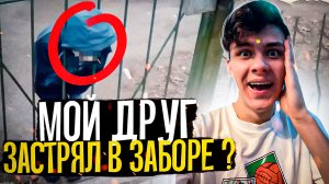 МОЙ ДРУГ ЗАСТРЯЛ В ЗАБОРЕ?? МЫ БЕЖАЛИ ОТ БЕШЕНЫХ СОБАК - ИНДУС