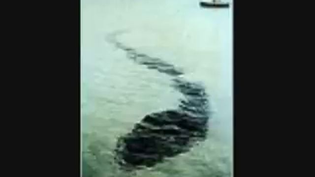 seres extraños alienigenas seres de mar... смотреть онлайн