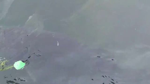 ловля тайменя смотреть онлайн