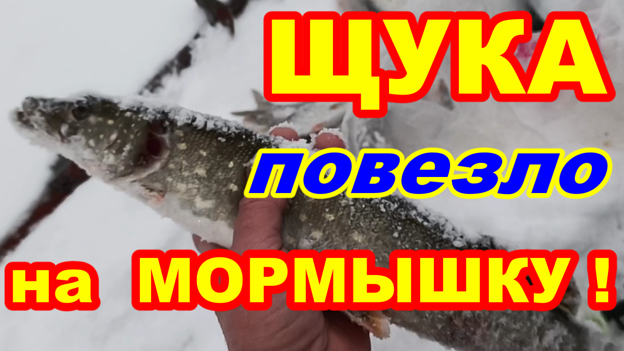 ЩУКА на МОРМЫШКУ ПОВЕЗЛО ! Зимняя рыбалка на Селигере ! Ловили плотву словили ЩУКУ !