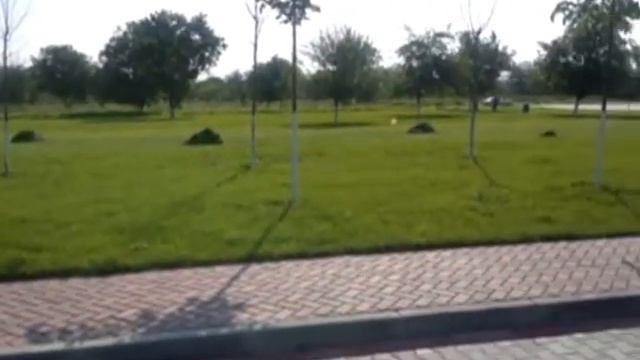 Зиярат в чечню смотреть онлайн