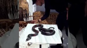 Как нарисовать иллюзию "СТАКАН С ВОДОЙ"