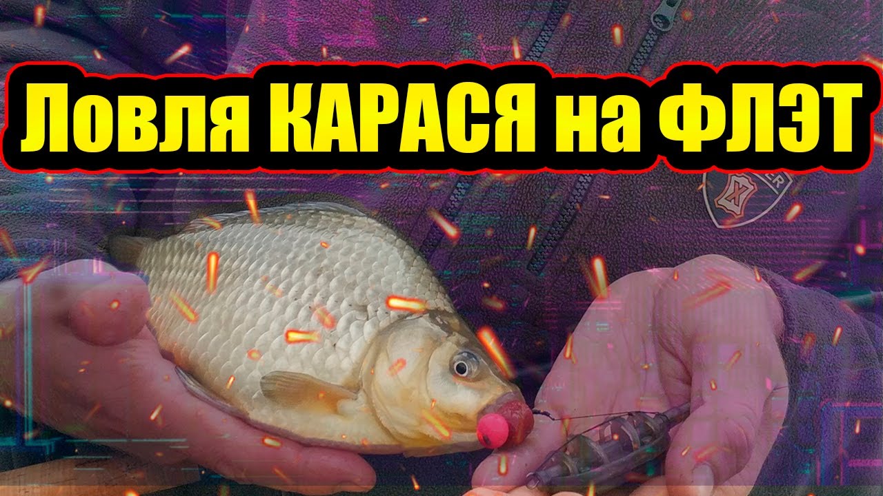 Ловить карася на флэт видео. Флэт фидер карась пруд. Где ловить карася. Карась на флэт