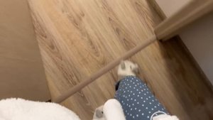 МОИ КНИЖНЫЕ ПОЛКИ 2023 || Книги не помещаются, я в панике!