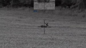 2. Pulsar Digisight Ultra N455 LRF