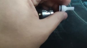 Леший 2 и Бусинка!