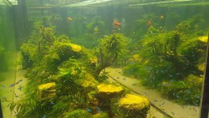 блесна Forest Realyze