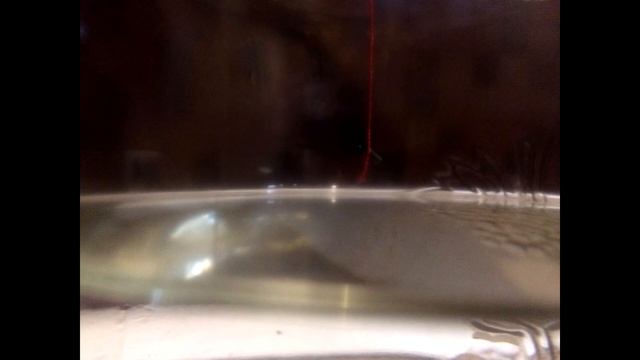 как вырастить кристалл из соли (пищевая/поваренная) смотреть онлайн