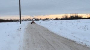 Багги барракуда №2