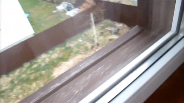 Приезжать на дачу надо чаще, но "карантино" не позволяет((. Полно работы! смотреть онлайн