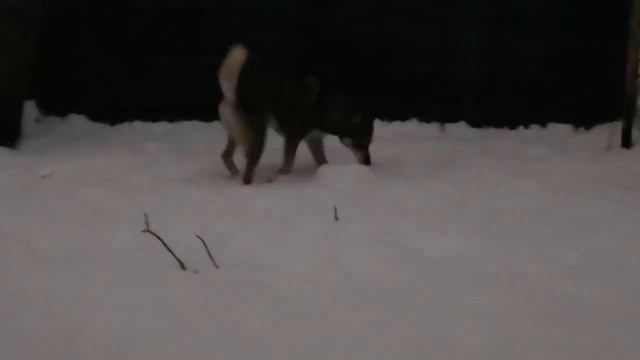 Ушки на макушке смотреть онлайн