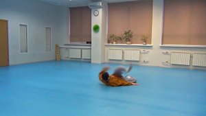Комплекс кунг-фу стиль змеи