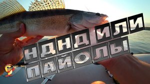 Несколько советов по пвх-лодкам. Рыбалка на судака. Рыбалка на черном море.