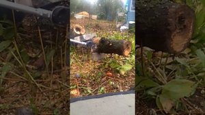 Пильная насадка для триммера икра могатек