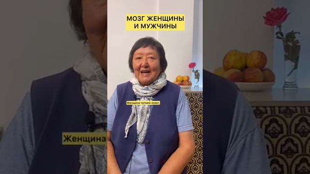 Чем женский мозг отличается от мужского