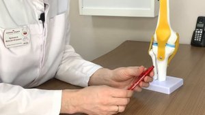 Артроскопия. Что нужно знать?
