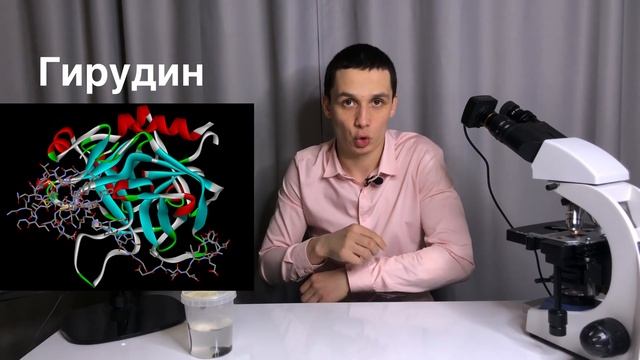 Как ставить пиявки в домашних условиях!? Польза «Гирудотерапии»