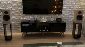 Pylon Diamond Monitor + Fezz Audio Silver Luna + Musical Fidelity MX-DAC [2]
