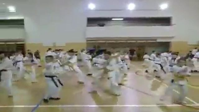 Зимняя Школа Бранча Бориса Гладкого Киокушин кан карате.